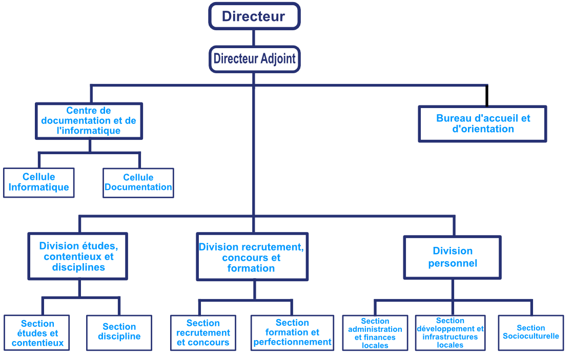 Organigramme